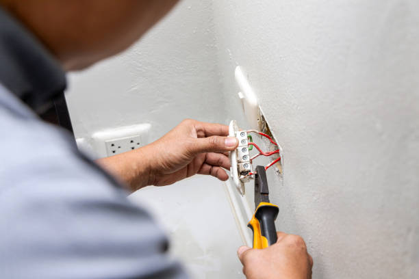 Best Electric Panel Repair  in Columbus Junction, IA